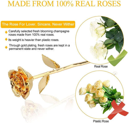 24K Gold Rose for Her, Eternal Love Real Golden Plated Preserved Eternal Rose Flower, Best Present for Anniversary Day Wife/Mom/Grandma/Women (Gold)