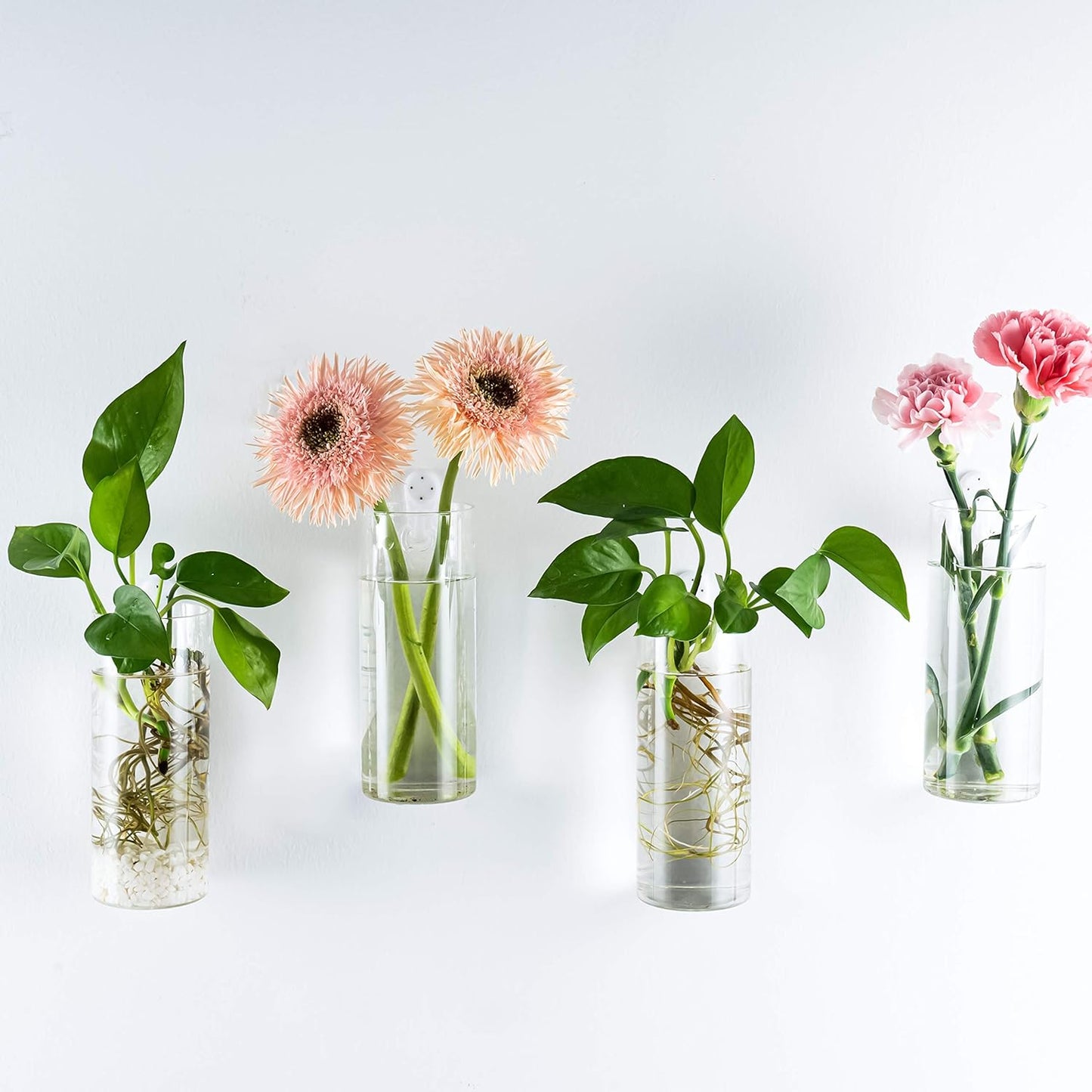 Glass Tube Wall Planter Propagation Station - 2 Pack Terrarium Cylinder Wall Vase with Plant Holder Hydroponic Planter for Home Kitchen Office Decor, Perfect Plant Lover Gifts (Short Cylinder)