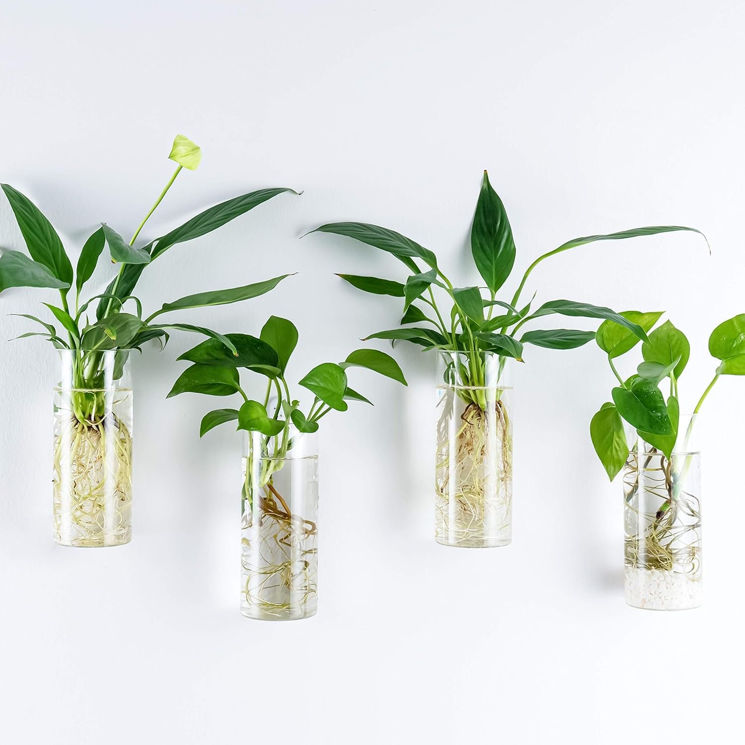 Glass Tube Wall Planter Propagation Station - 2 Pack Terrarium Cylinder Wall Vase with Plant Holder Hydroponic Planter for Home Kitchen Office Decor, Perfect Plant Lover Gifts (Short Cylinder)