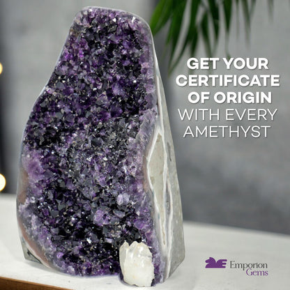 Natural Amethyst (2 Lb to 3 Lb) - 4" to 7" Height - Crystal Clusters Stone from Uruguay Raw Geode Quartz - Deep Purple Color